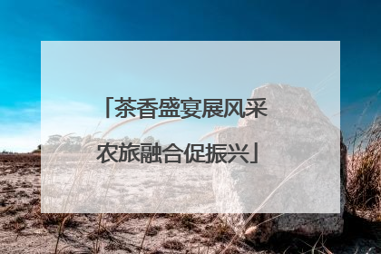 茶香盛宴展风采 农旅融合促振兴