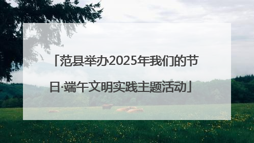 范县举办2025年我们的节日·端午文明实践主题活动