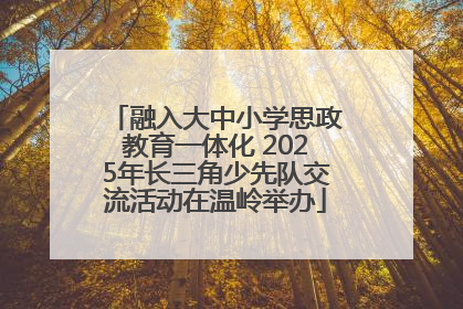 融入大中小学思政教育一体化 2025年长三角少先队交流活动在温岭举办