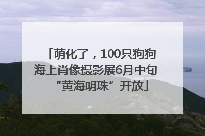 萌化了，100只狗狗海上肖像摄影展6月中旬“黄海明珠”开放
