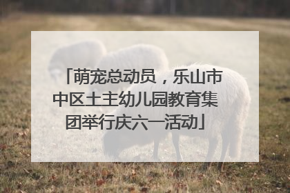 萌宠总动员，乐山市中区土主幼儿园教育集团举行庆六一活动
