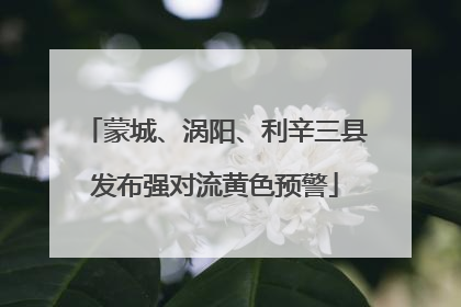 蒙城、涡阳、利辛三县发布强对流黄色预警