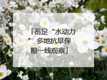 蓄足“水动力” 多地抗旱保粮一线观察
