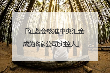 证监会核准中央汇金成为8家公司实控人