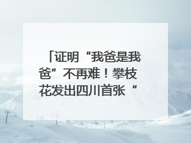 证明“我爸是我爸”不再难！攀枝花发出四川首张“户籍人口直系亲属关系谱”