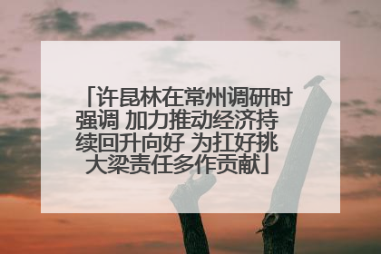 许昆林在常州调研时强调 加力推动经济持续回升向好 为扛好挑大梁责任多作贡献