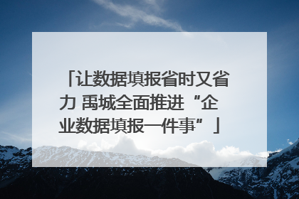 让数据填报省时又省力 禹城全面推进“企业数据填报一件事”