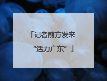 记者前方发来“活力广东”