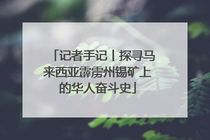 记者手记丨探寻马来西亚霹雳州锡矿上的华人奋斗史