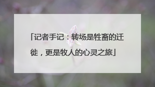 记者手记：转场是牲畜的迁徙，更是牧人的心灵之旅