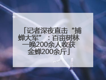 记者深夜直击“捕蝉大军”：百亩树林一晚200余人收获金蝉200余斤