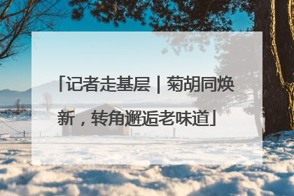 记者走基层｜菊胡同焕新，转角邂逅老味道