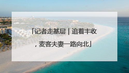 记者走基层｜追着丰收，麦客夫妻一路向北