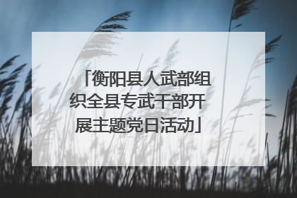 衡阳县人武部组织全县专武干部开展主题党日活动