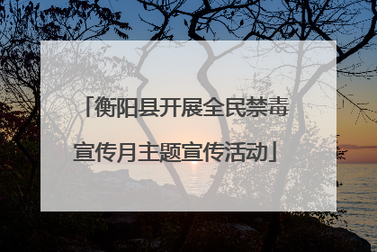 衡阳县开展全民禁毒宣传月主题宣传活动