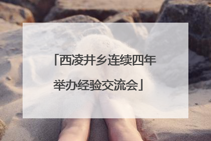 西凌井乡连续四年举办经验交流会