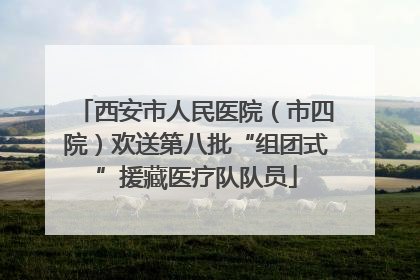 西安市人民医院（市四院）欢送第八批“组团式”援藏医疗队队员