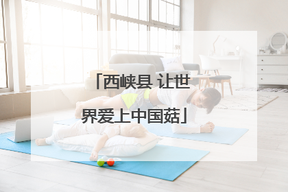 西峡县 让世界爱上中国菇