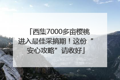 西集7000多亩樱桃进入最佳采摘期！这份“安心攻略”请收好