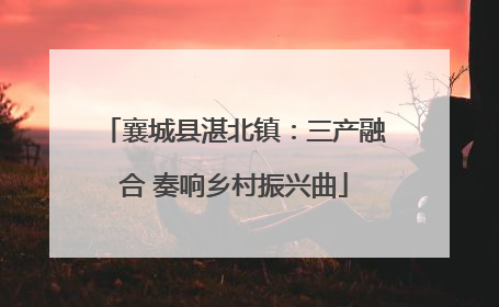 襄城县湛北镇：三产融合 奏响乡村振兴曲