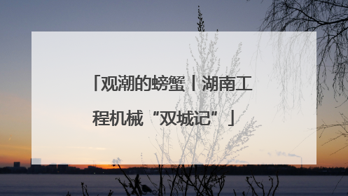 观潮的螃蟹丨湖南工程机械“双城记”