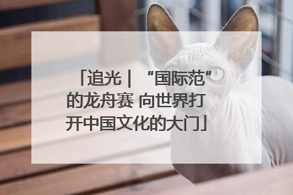 追光｜“国际范”的龙舟赛 向世界打开中国文化的大门