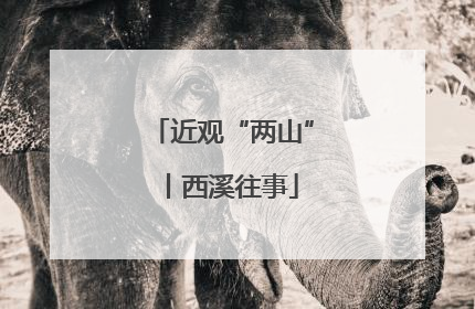 近观“两山”丨西溪往事