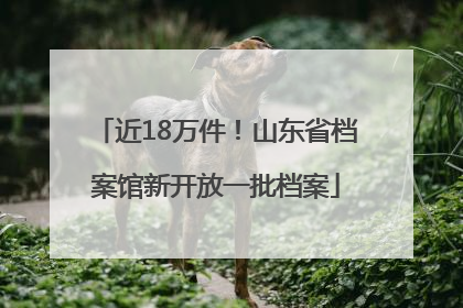 近18万件！山东省档案馆新开放一批档案