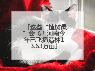 这些“植树员”会飞！河南今年已飞播造林13.63万亩