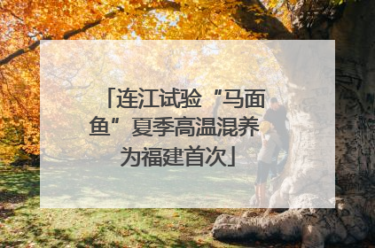 连江试验“马面鱼”夏季高温混养 为福建首次