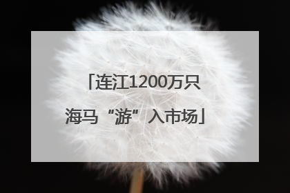 连江1200万只海马“游”入市场