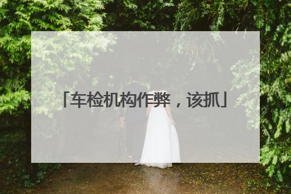 车检机构作弊，该抓