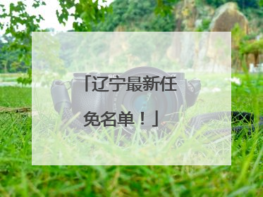 辽宁最新任免名单！