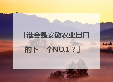 谁会是安徽农业出口的下一个NO.1？