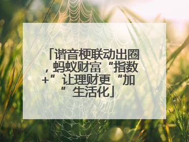 谐音梗联动出圈，蚂蚁财富“指数+”让理财更“加”生活化