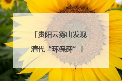 贵阳云雾山发现清代“环保碑”