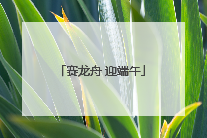 赛龙舟 迎端午