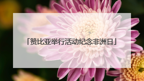 赞比亚举行活动纪念非洲日