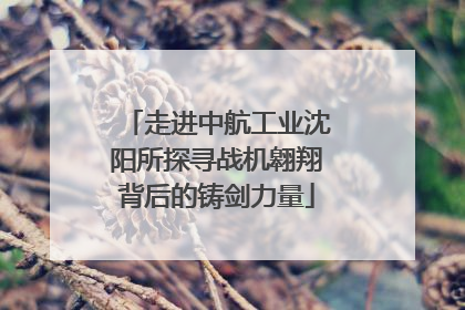 走进中航工业沈阳所探寻战机翱翔背后的铸剑力量