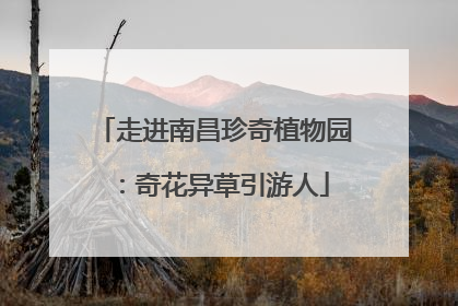 走进南昌珍奇植物园：奇花异草引游人