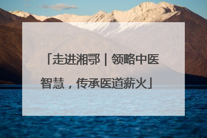 走进湘鄂｜领略中医智慧，传承医道薪火