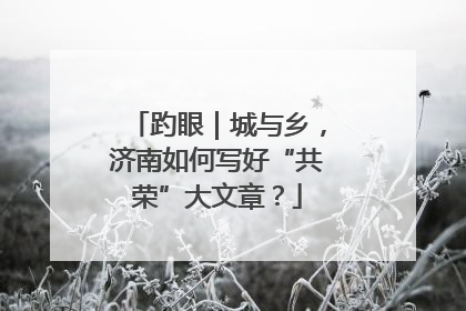 趵眼｜城与乡，济南如何写好“共荣”大文章？