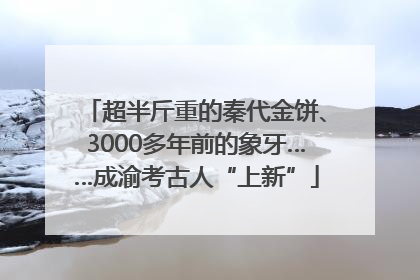 超半斤重的秦代金饼、3000多年前的象牙……成渝考古人“上新”