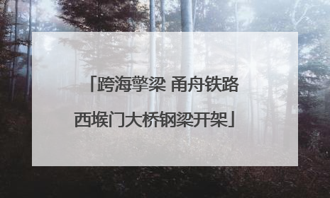 跨海擎梁 甬舟铁路西堠门大桥钢梁开架