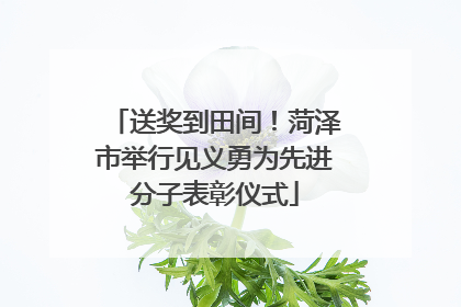 送奖到田间！菏泽市举行见义勇为先进分子表彰仪式