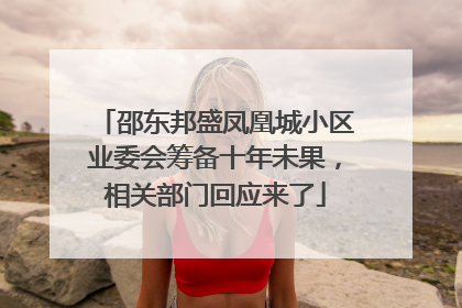 邵东邦盛凤凰城小区业委会筹备十年未果，相关部门回应来了