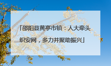 邵阳县黄亭市镇：人大牵头织安网，多力并聚助振兴