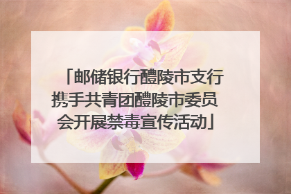 邮储银行醴陵市支行携手共青团醴陵市委员会开展禁毒宣传活动