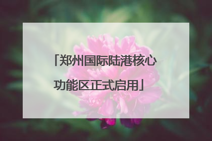 郑州国际陆港核心功能区正式启用