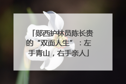 郧西护林员陈长贵的“双面人生”：左手青山，右手亲人